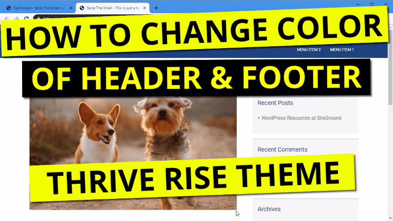 how to change theme color for rise thrive theme